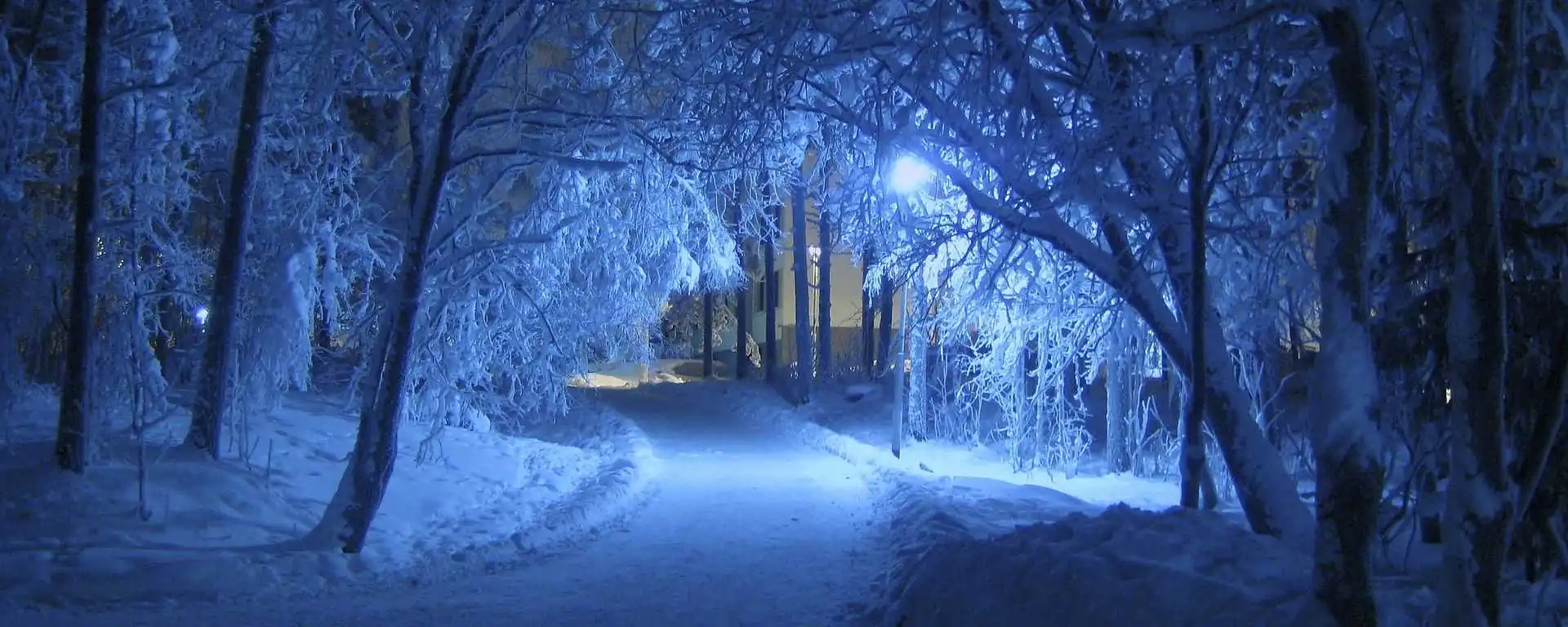 Winterreise nach Levi